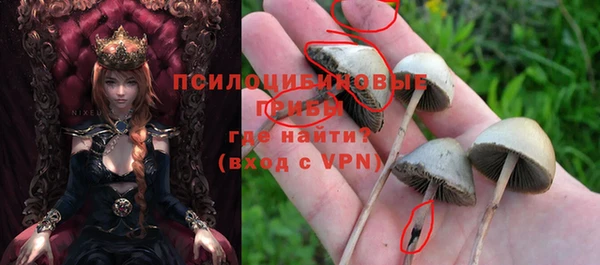 спиды Белоозёрский