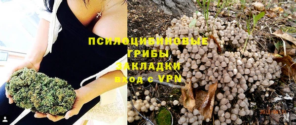 спиды Белоозёрский