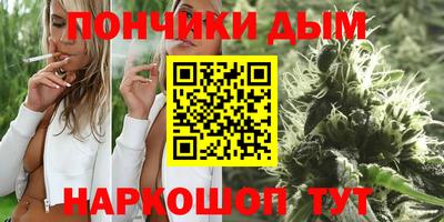 крисы Нальчик