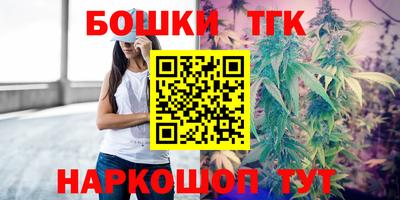 крисы Нальчик