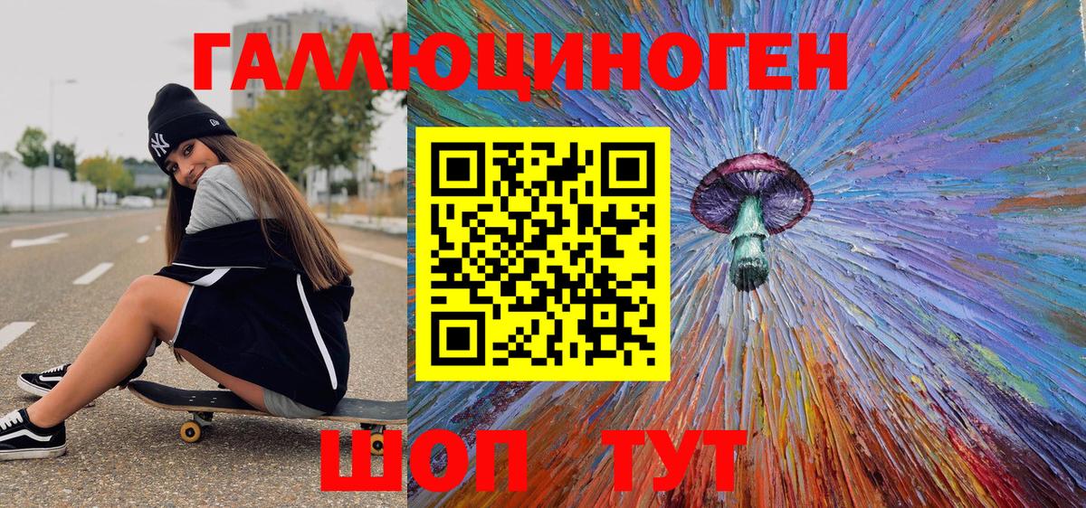 Псилоцибиновые грибы Psilocybine cubensis Саяногорск