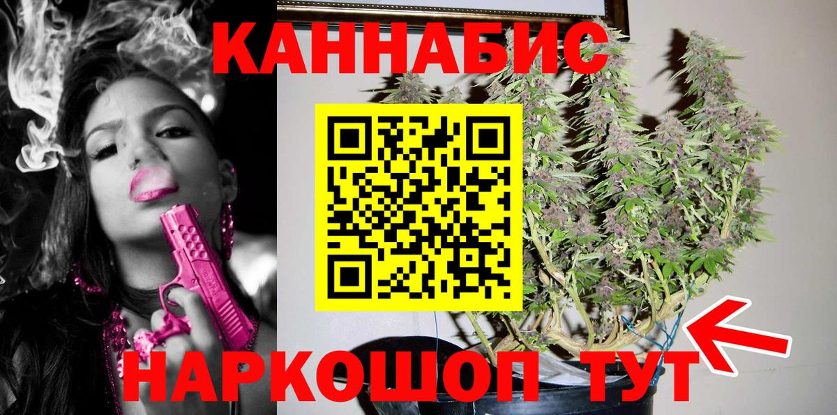 Канабис сатива Саяногорск